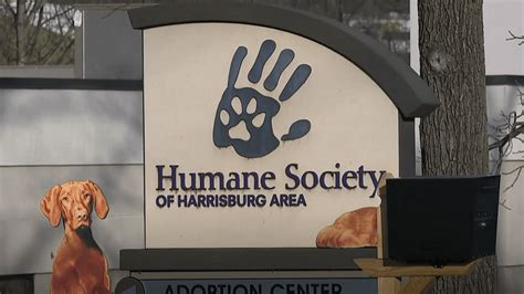 Humane society of harrisburg - The Humane Society of Harrisburg Area is funded solely by the community and could not fulfill our mission without the community’s support. Below are examples of how your dollars can make a difference in the life of a resident and help us build a better community for pets and people. Make a One-Time Donation. Honor a Life with Your Donation. 